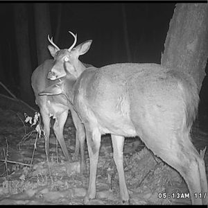 Meet your Posher, Meghan